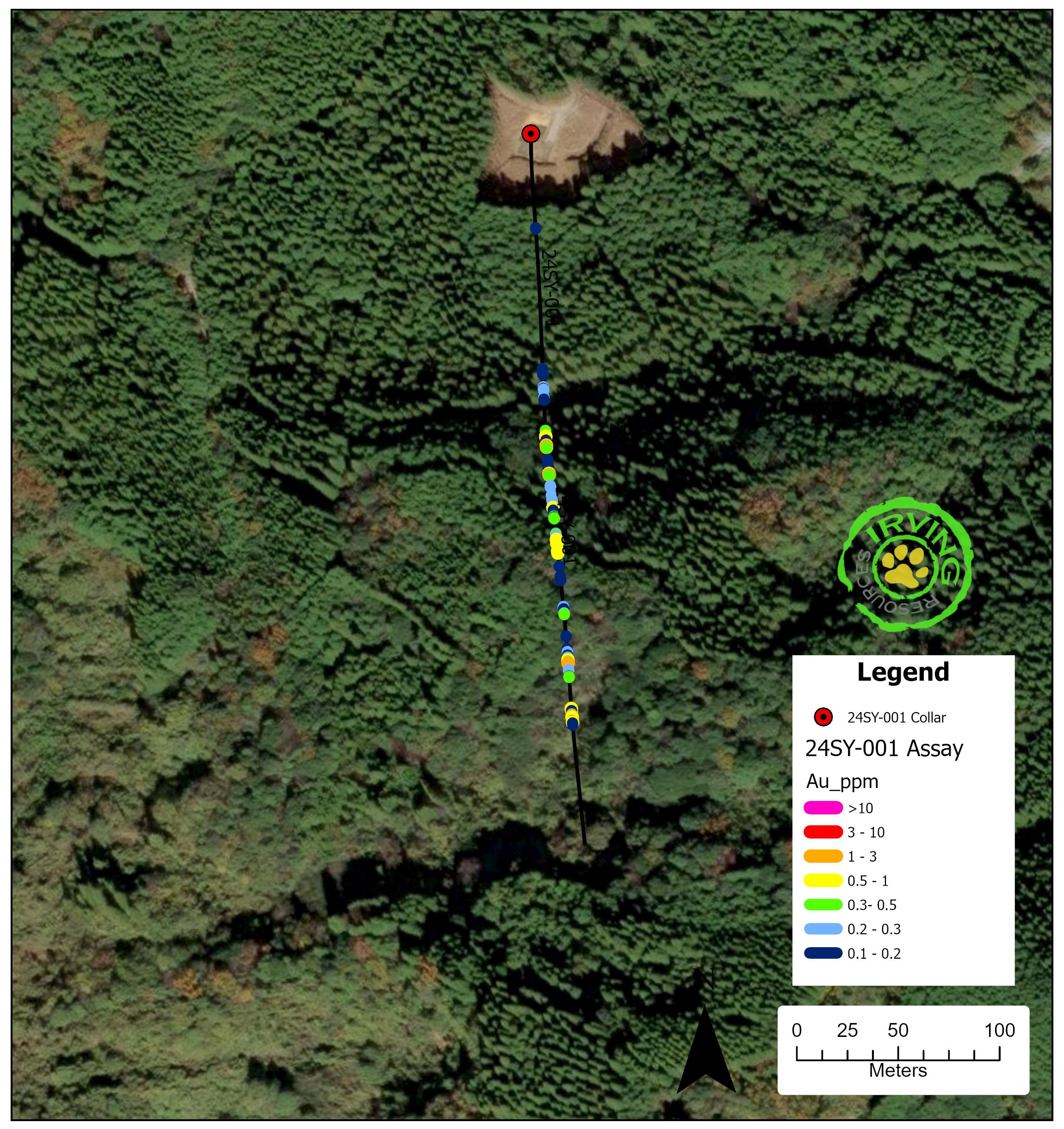 A bird's eye view of a forestDescription automatically generated